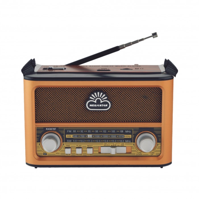 RADIO BT/USB/FM/AM/TF/TWS 600W